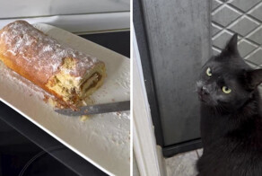 Это точно не он!