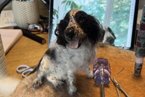 20 талантливых людей, которые решили поделиться своими творениями