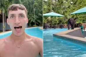 Обезьяны выгнали британца из бассейна