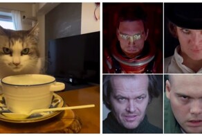 Кот и «Взгляд Кубрика»