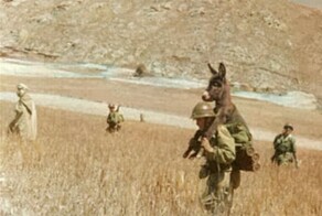 Интересные снимки различных военных конфликтов ХХ века
