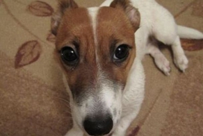 Неувязочка вышла (4 фото)