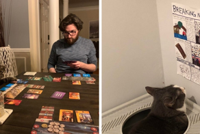 Примеры того, как хозяева развлекали своих котов