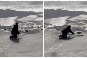 В Новосибирске подросток спас пса из ледяной воды