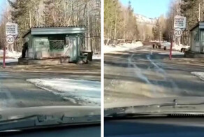 В Башкирии медведи атаковали контрольно-пропускной пункт