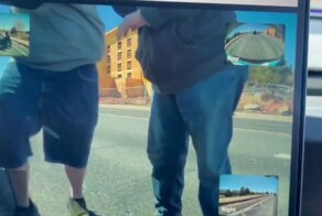 Противники Илона Маска нападают на владельцев Tesla