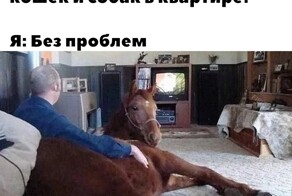 Скрины из соцсетей            