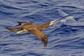 На общую тему&nbsp;