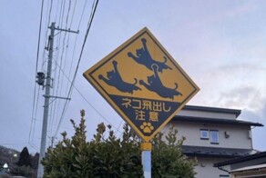 Дорожные знаки в Японии, предупреждающие о внезапном появлении кошек