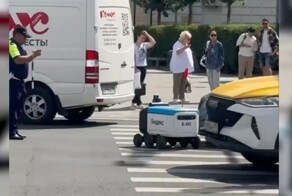 В Москве на пешеходном переходе