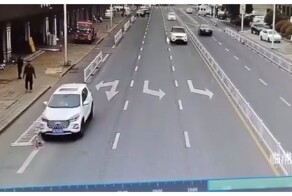 Пёс угнал автомобиль хозяина