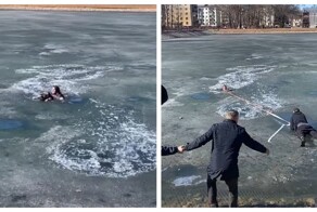 Житель Вологды пытался спасти тонущего пса и едва не ушел под лёд