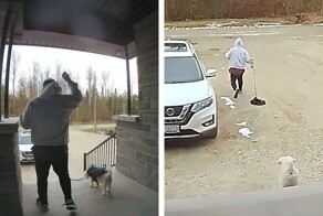 Хозяин не заметил, как ушёл без своего пса