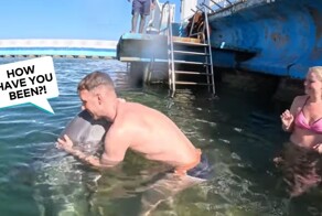 "Боже, какая милота": дружелюбный дельфин стал звездой сети, обнимая посетителей