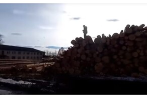 Девочка-подросток пострадала во время прогулки по брёвнам