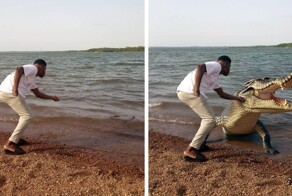 Люди попросили отредактировать их фотографии и получили уморительные результаты