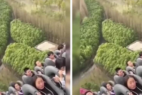 Воспользовался ситуацией