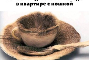 Не ищите здесь смысл. Здесь в основном маразм