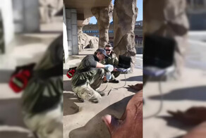 Весенний осмотр моржа в зоопарке