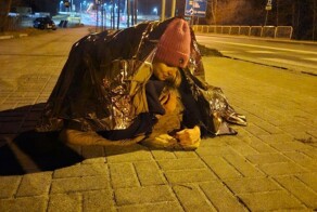 В Польше спасли сбитую на дороге косулю