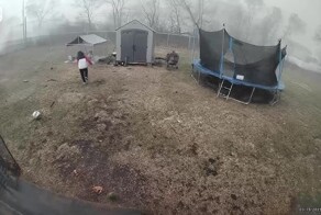 Спасли  собаку всего за минуту до прихода торнадо