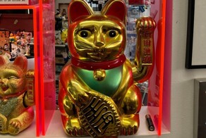 Музей счастливого кота – рай для любителей пушистых созданий