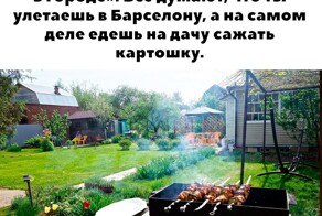 Большая тарелка позитива