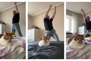 Кот пытается сохранять спокойствие