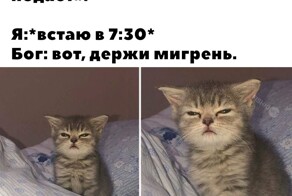 Скрины из соцсетей