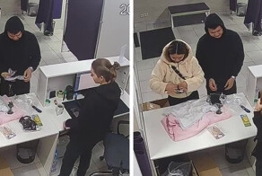 Перед таким посетителем сложно устоять