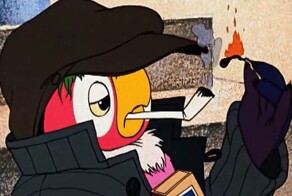 В Швеции спасли попугая-матерщинника, застрявшего на дереве