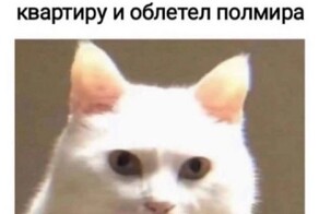 Ученые выяснили, что работает лучше любой психотерапии