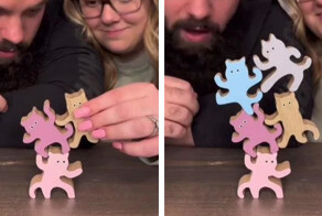 Настольная игра для двоих "Kung Fu Cat"