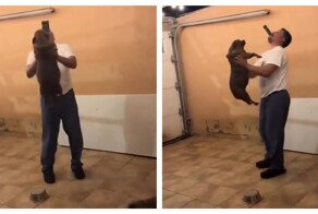 Нестандартный ракурс для съемки питомца