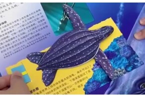 Детские развивающие книжки из Китая