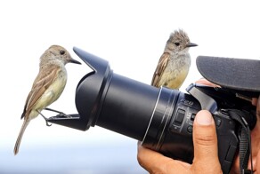 На общую тему&nbsp;