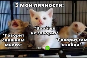 Скрины из соцсетей
