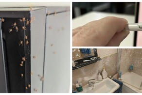 30+ примеров, когда жизнь преподнесла неприятные сюрпризы