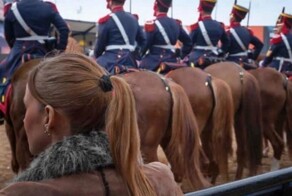 Всё вразнобой&nbsp;