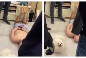 Пёс пытался защитить хозяина во время задержания