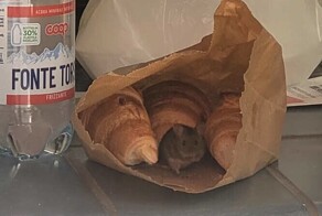 20 человек, у которых не жизнь, а сплошные проблемы