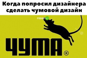 Смешные картинки