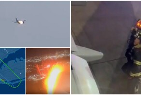 Самолет в США экстренно приземлился из-за попавшего в двигатель кролика