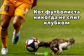 Скрины из соцсетей            