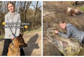 Как отучить собаку тянуть поводок на прогулке