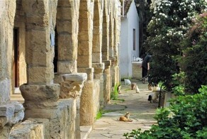 Святой монастырь Николая Чудотворца «Кошачьего»: легенда о пушистом воинстве