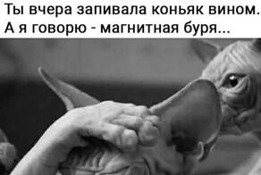 Теперь официально: магнитные бури — всё