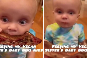 Мужчина решил угостить сына своей сестры, которая придерживается вегетарианства, барбекю