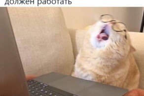 Отмазка дня: зумер подробно объяснил, почему он не вышел на работу