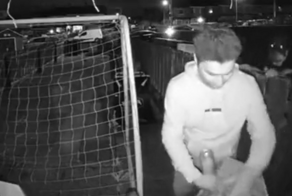 Собака, которая наблюдала, планировала и выполнила идеальное устрашение